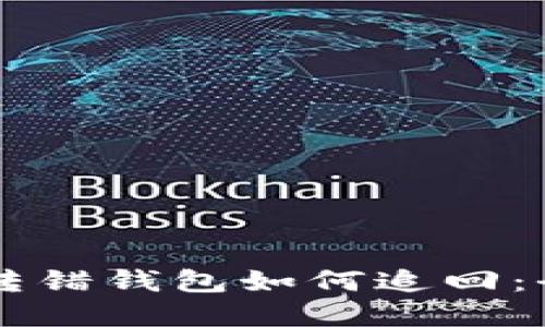 虚拟币转错钱包如何追回：全面指南