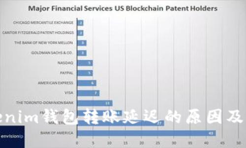 探讨Tokenim钱包转账延迟的原因及解决方案