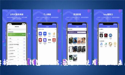 全面解析区块链钱包Web端：安全性、使用体验与未来趋势