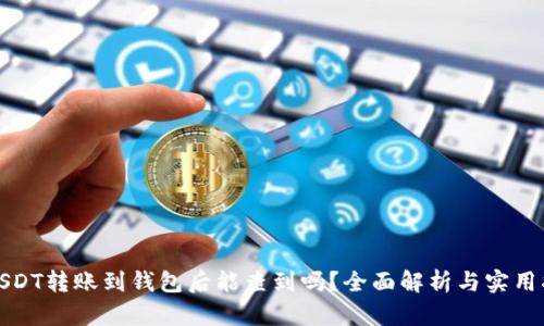 : USDT转账到钱包后能查到吗？全面解析与实用指南