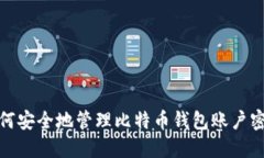 如何安全地管理比特币钱包账户密码