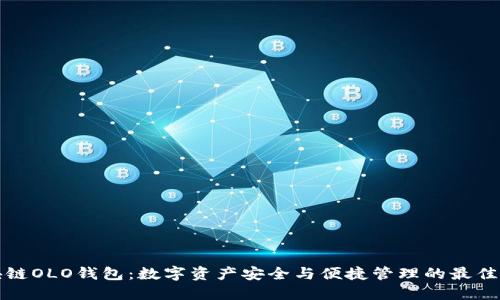 区块链OLO钱包：数字资产安全与便捷管理的最佳选择