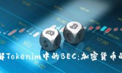深入了解Tokenim中的BEC：加