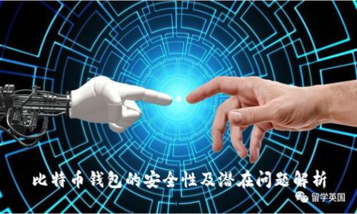 比特币钱包的安全性及潜在问题解析