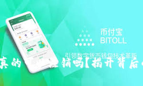 区块链钱包真的可以注销吗？揭开背后的真相与风险