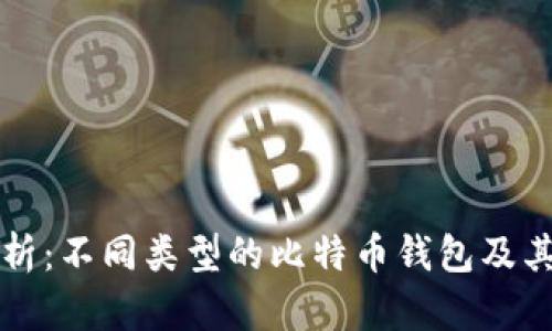 全面解析：不同类型的比特币钱包及其优缺点
