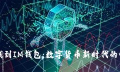 从币赢提钱到IM钱包：数字