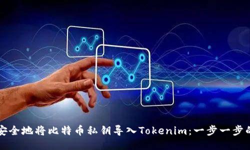 如何安全地将比特币私钥导入Tokenim：一步一步的指南