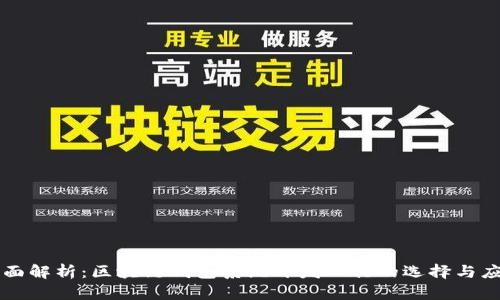 全面解析：区块链钱包系统开发工具的选择与应用