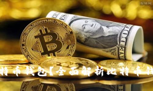 如何选择合适的比特币钱包？全面解析比特币钱包的种类与安全性