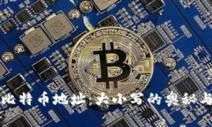 探秘比特币地址：大小写的奥秘与应用