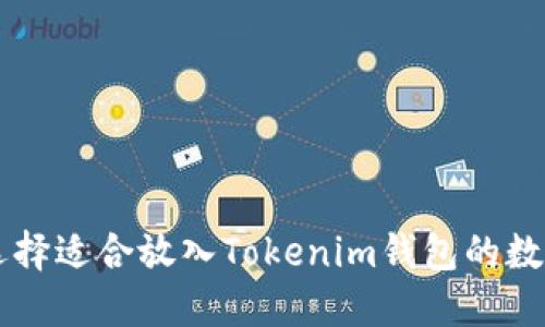 如何选择适合放入Tokenim钱包的数字货币