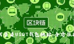 如何查看USDT钱包地址：全
