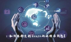 : 如何选择支持Zcash的比特
