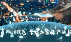 比特币Plus钱包：掌握加密