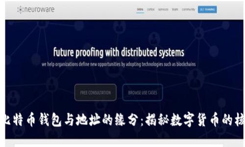 : 比特币钱包与地址的缘分：揭秘数字货币的核心