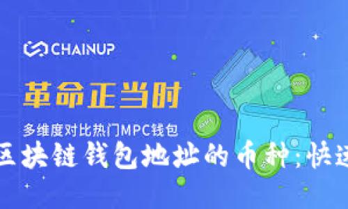 轻松查找区块链钱包地址的币种：快速入门指南