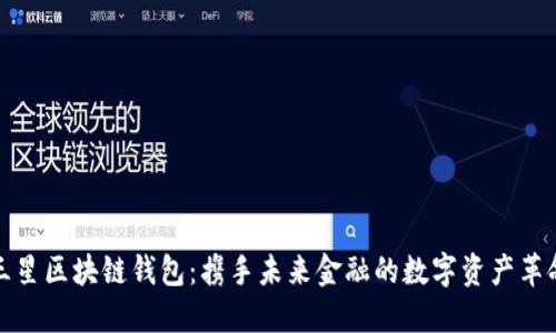 三星区块链钱包：携手未来金融的数字资产革命
