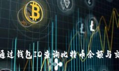 : 如何通过钱包ID查询比特