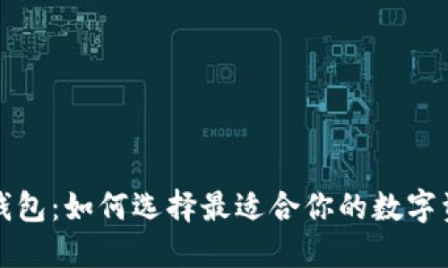 解密比特币钱包：如何选择最适合你的数字资产管理工具