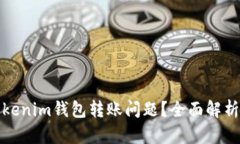 如何解决Tokenim钱包转账问