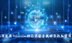 如何使用Tokenim助记词安全