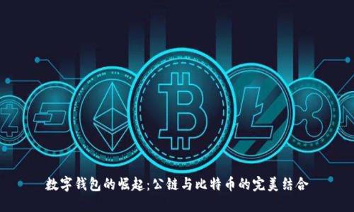 数字钱包的崛起：公链与比特币的完美结合