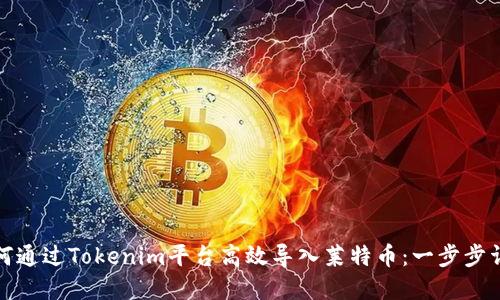如何通过Tokenim平台高效导入莱特币：一步步详解