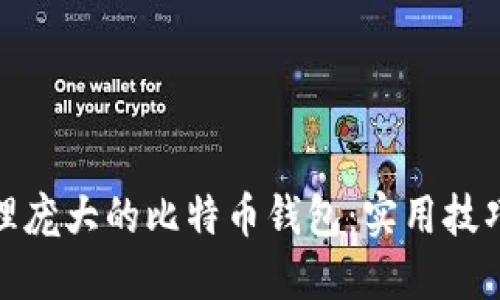 如何管理庞大的比特币钱包：实用技巧与策略