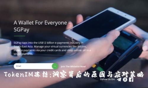 TokenIM冻结：洞察背后的原因与应对策略