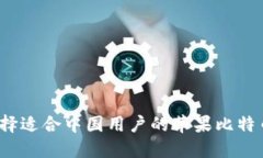 如何选择适合中国用户的苹果比特币钱