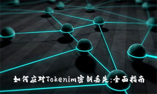 如何应对Tokenim密钥丢失：全面指南